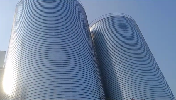 吉利2座混凝土高架卷板仓